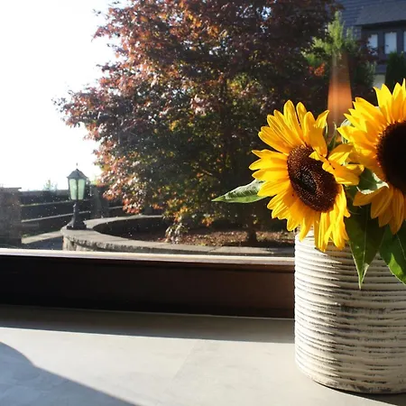 بيت للعطل Haus Talblick ساسباشفالدن