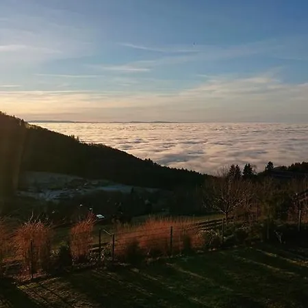 Holiday home Haus Talblick Sasbachwalden